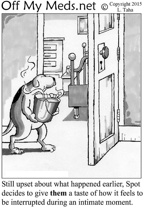 The Dogs Revenge