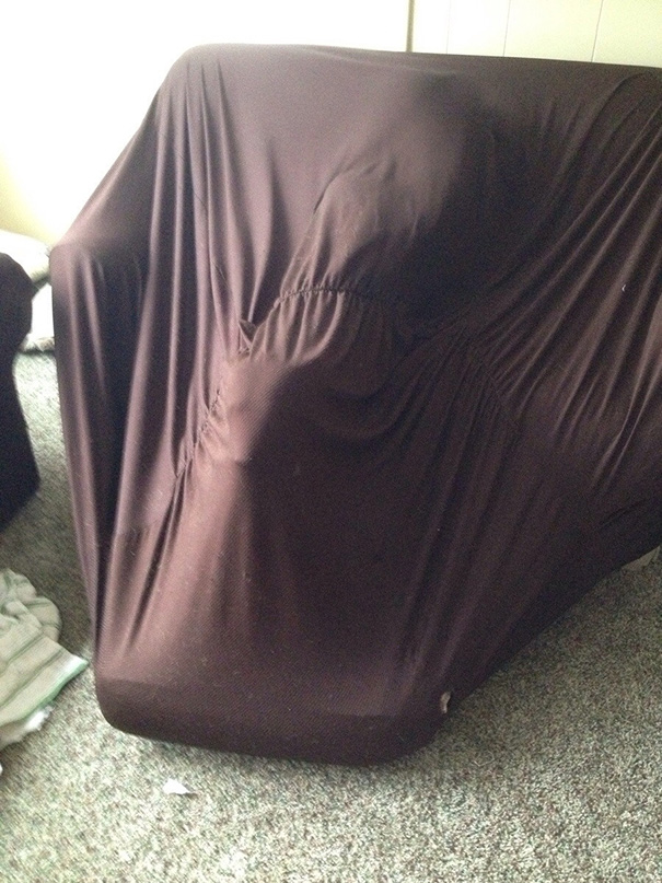 My Dog Got Stuck In The Sofa Cover