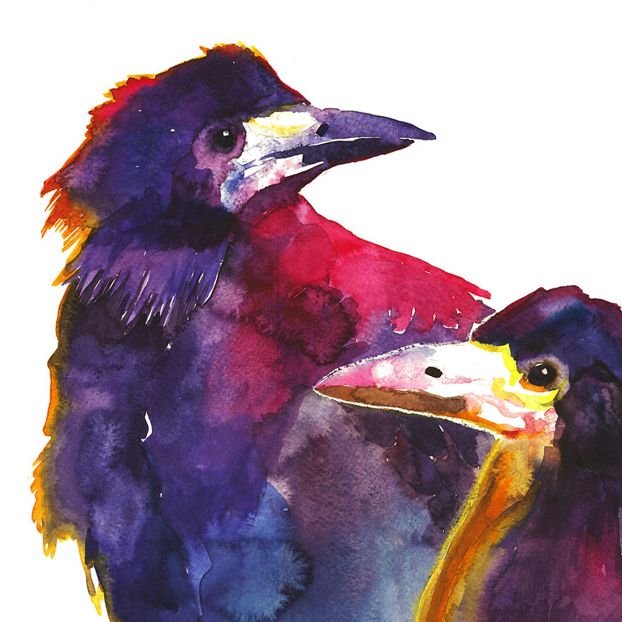 Colorful Birds Painted With Watercolors By Maja Wronska