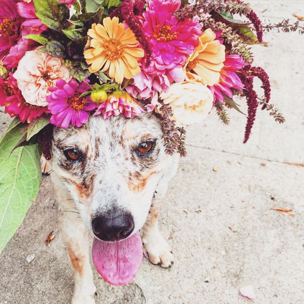 Flower Farmer Grows Smiles By Putting Flowers On Strangers’ Heads