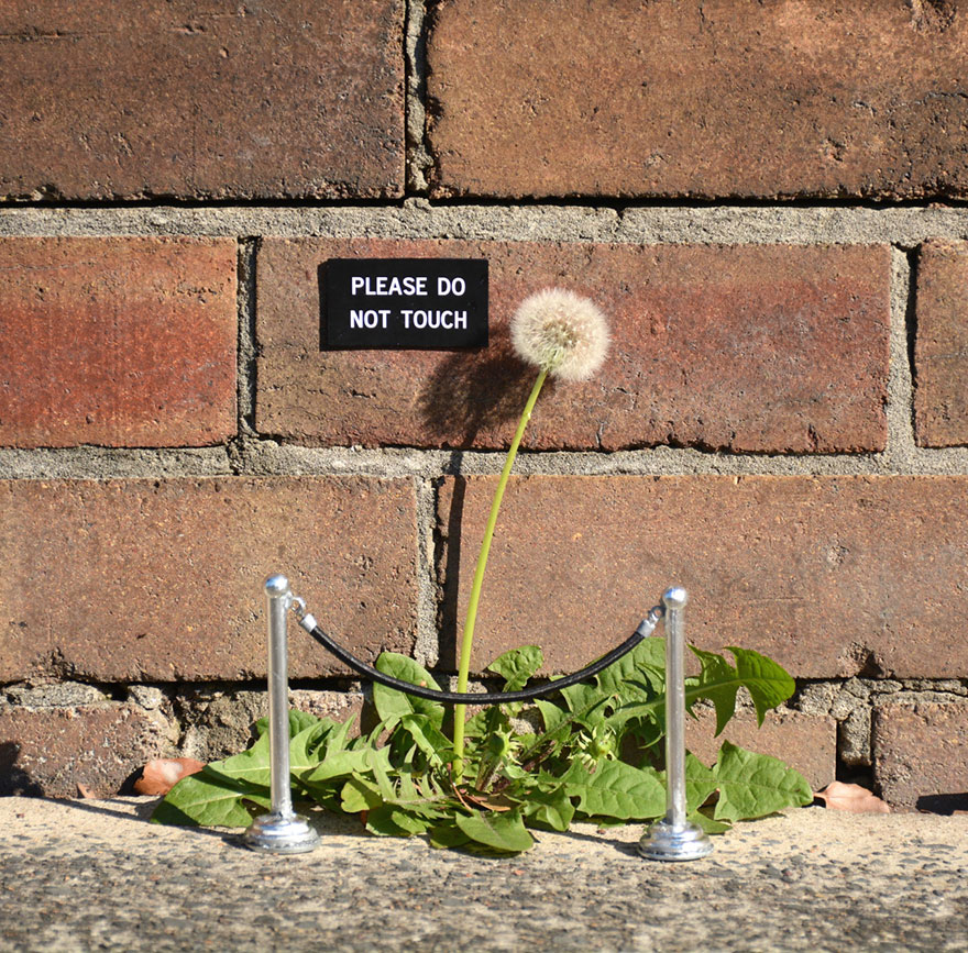 Artist Leaves Funny Signs Around City For People To Find