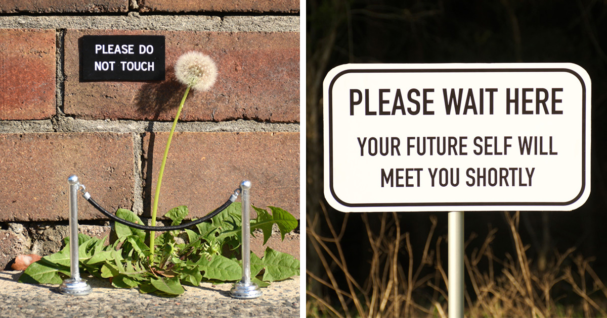 Artist Leaves Funny Signs Around City For People To Find | Bored Panda