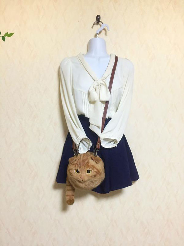 Cat Bags Are A New Craze In Japan
