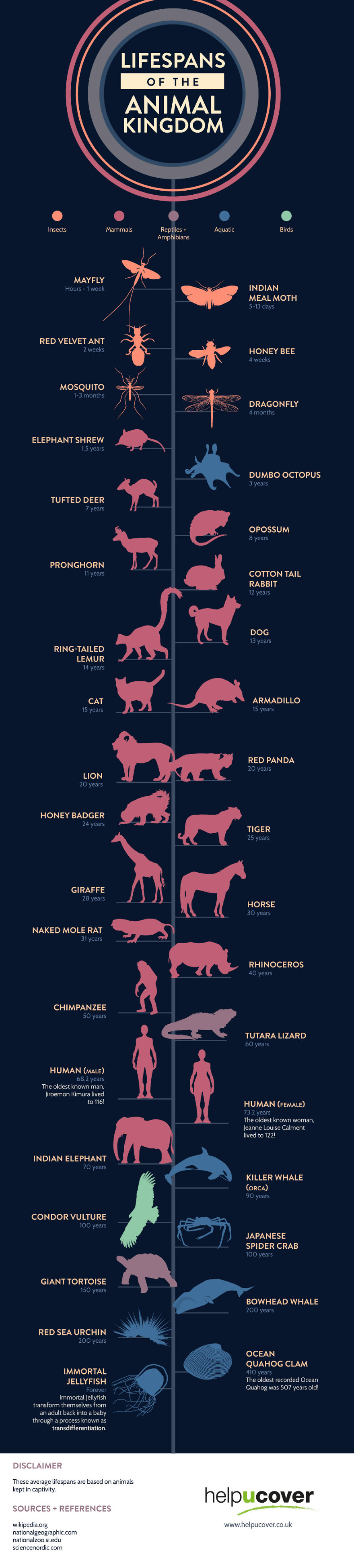Lifespans Of The Animal Kingdom