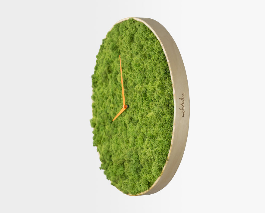 I Made A Moss Clock Using 2kg Of Moss
