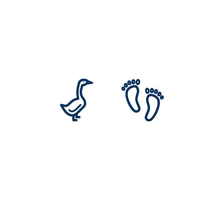 Quotation Marks (Gæsalappir) = Goose + Feet