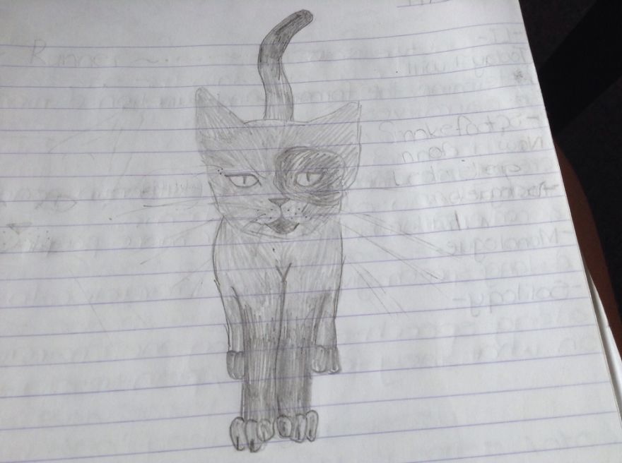 17 Cat Drawings From Within My Schoolbooks 17 Cat Drawings From Within My Schoolbooks