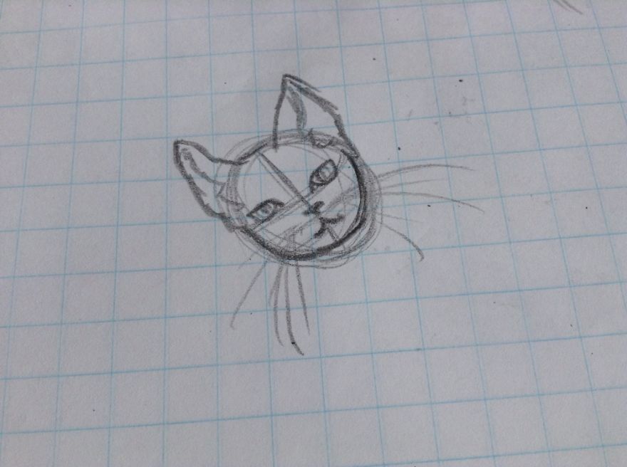 17 Cat Drawings From Within My Schoolbooks 17 Cat Drawings From Within My Schoolbooks