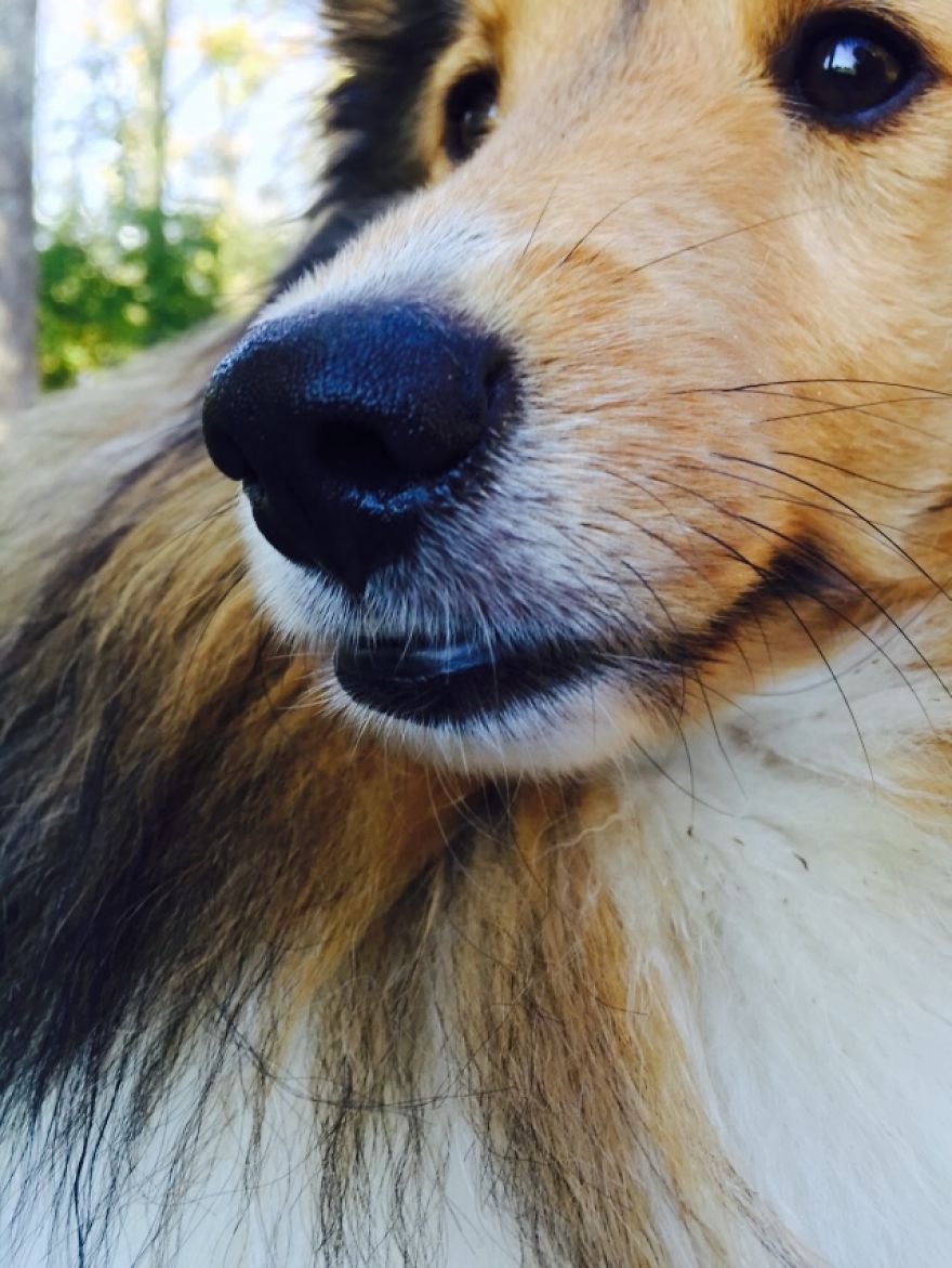 Photoshoot With Lexi