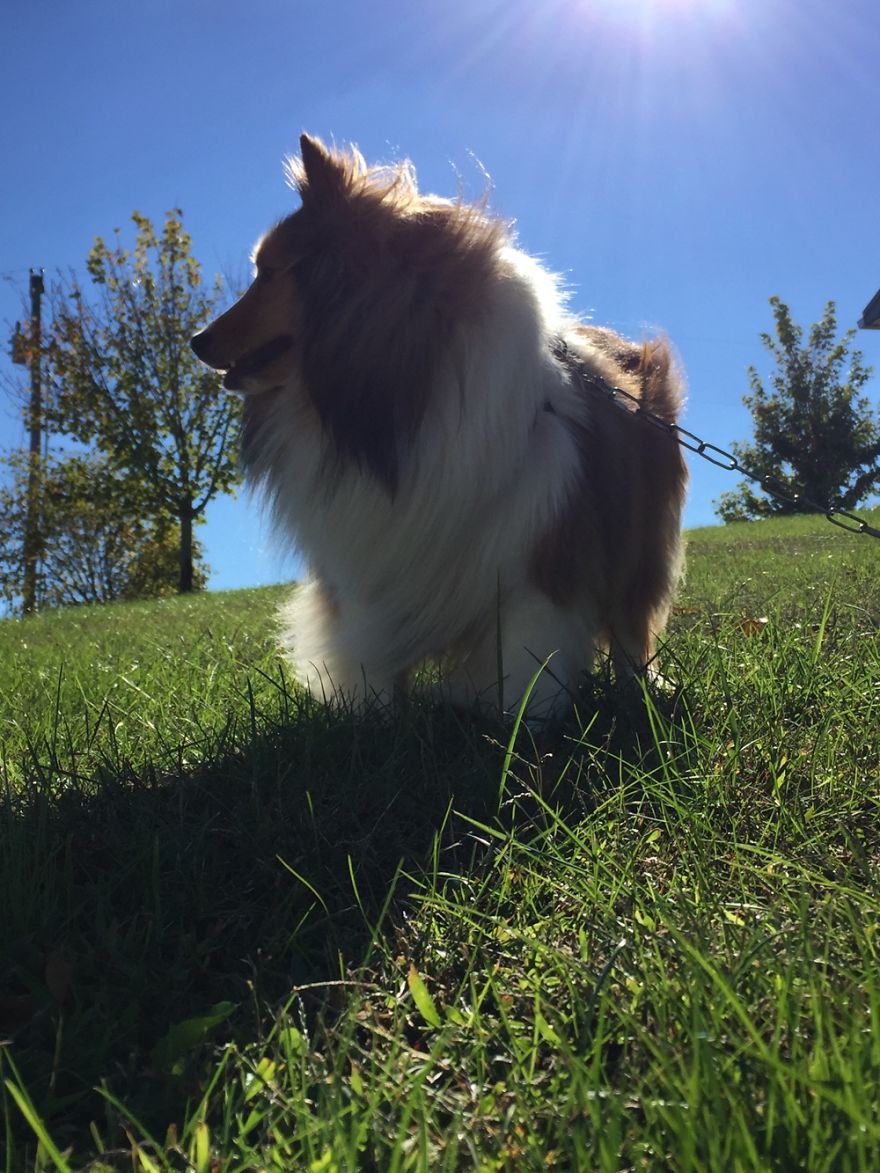 Photoshoot With Lexi