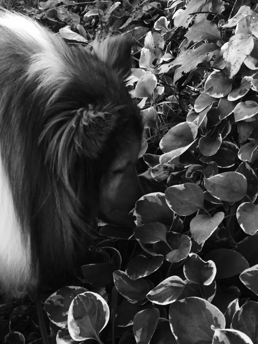 Photoshoot With Lexi