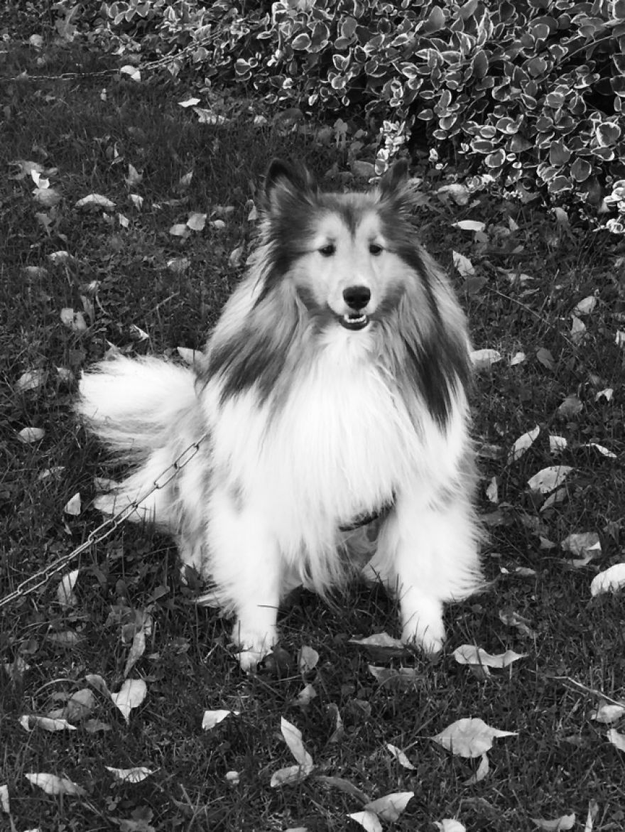 Photoshoot With Lexi
