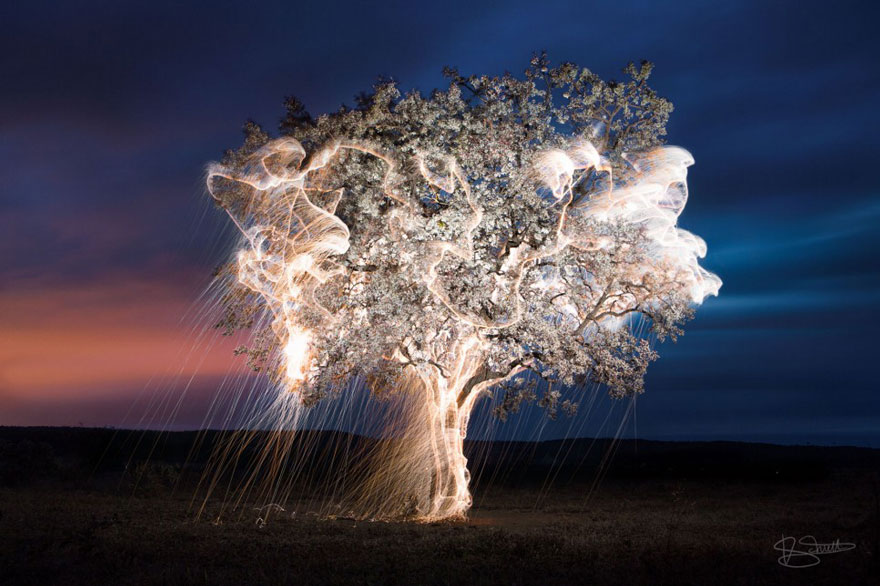 Light Drips From Trees In Long-Exposure Photos By Vitor Schietti