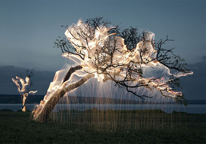Light Drips From Trees In Long-Exposure Photos By Vitor Schietti