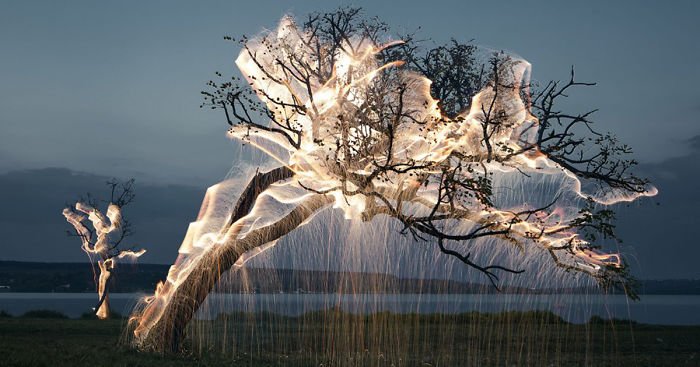 البيئة والتحكم في الإضاءة فى حياتنا  Impermanent-sculptures-firework-tree-photography-vitor-schietti-fb__700