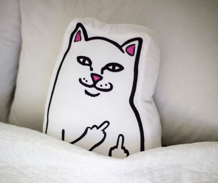 Rip N Dip Cat Pillow Will Make Sure You Never Sleep Alone Again