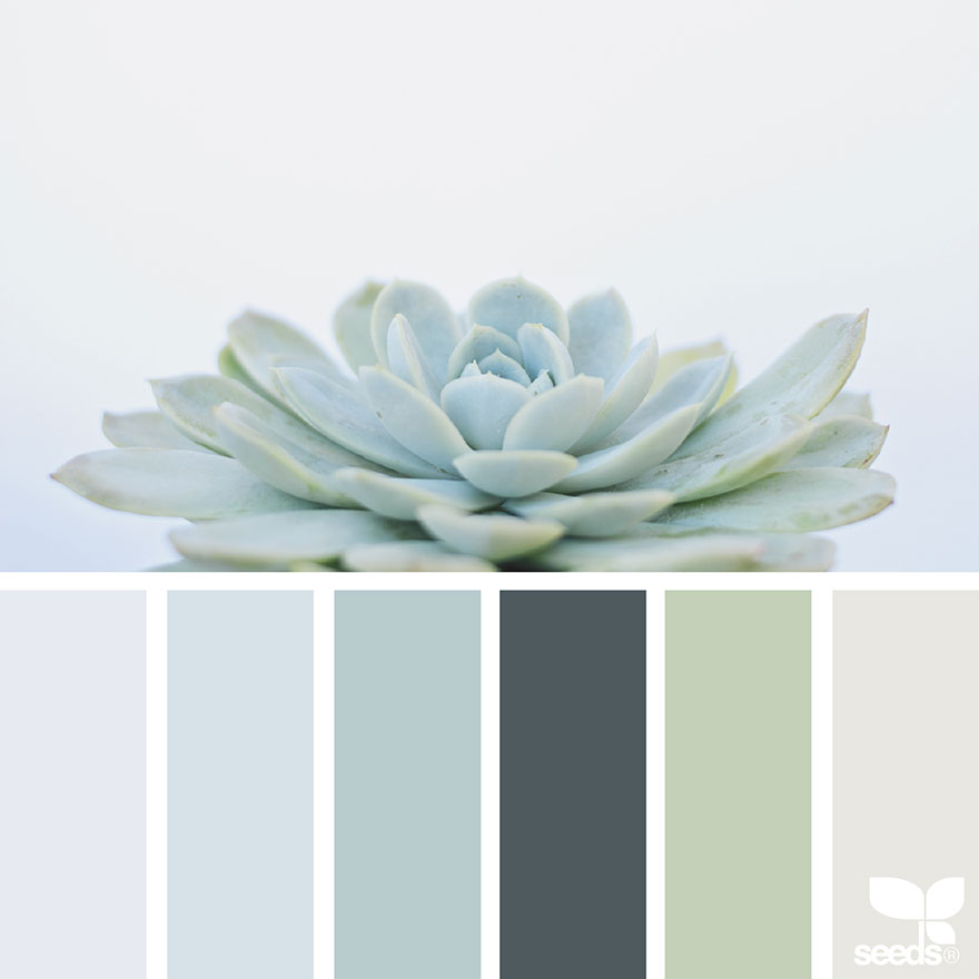 nature-colors-palette-design-seeds-jessica-colaluca-11