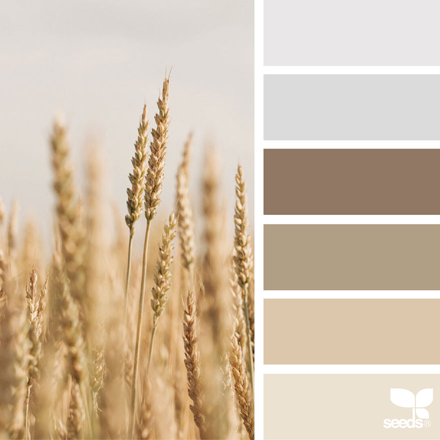 nature-colors-palette-design-seeds-jessica-colaluca-17