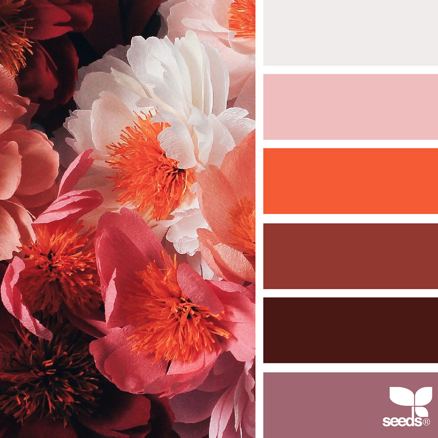 nature-colors-palette-design-seeds-jessica-colaluca-19