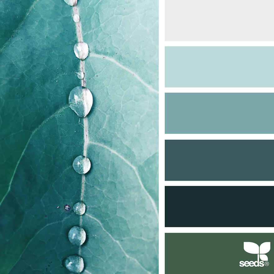 Nature Inspired Color Palettes Aka Design Seeds For Designers Crafters And Home Decorators Bored Panda