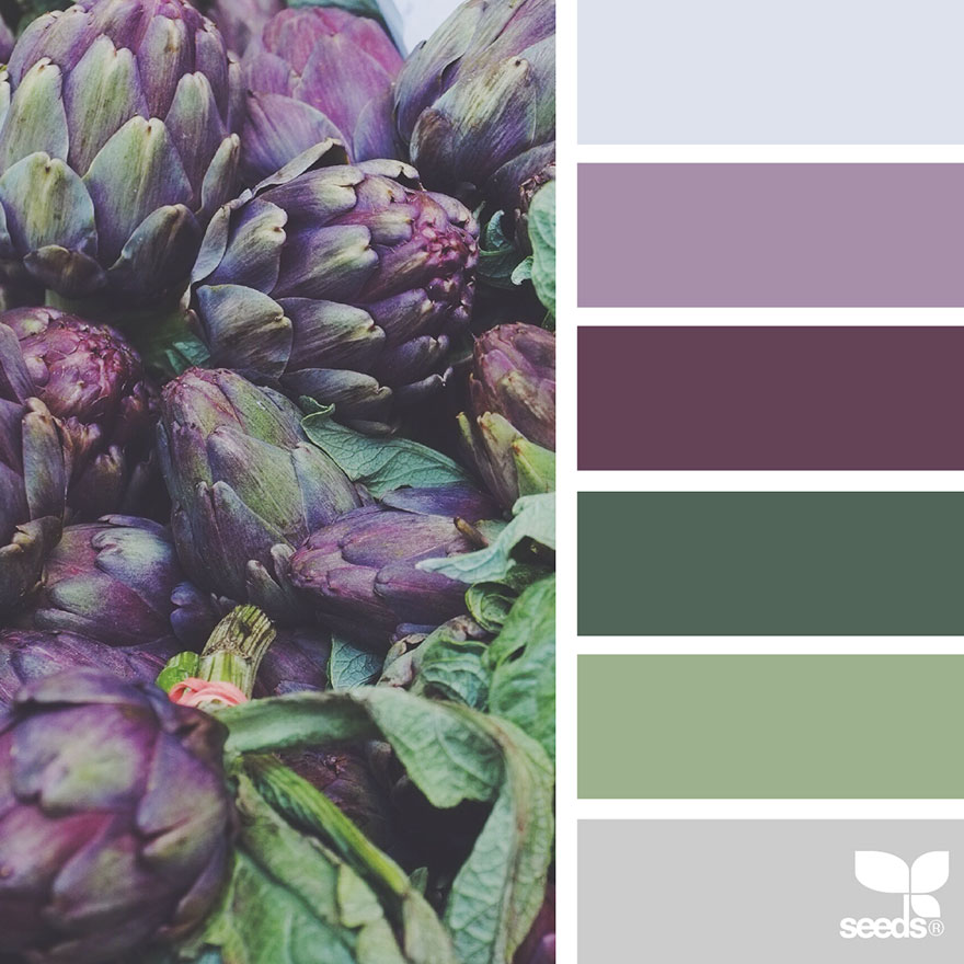 nature-colors-palette-design-seeds-jessica-colaluca-3