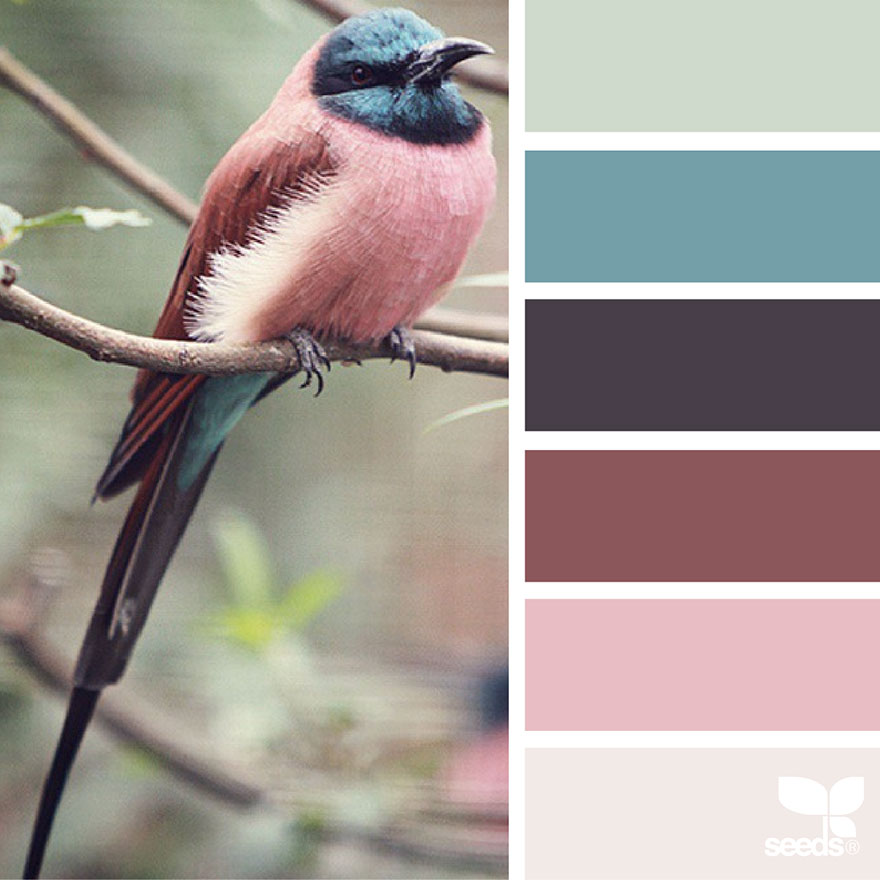 nature-colors-palette-design-seeds-jessica-colaluca-9