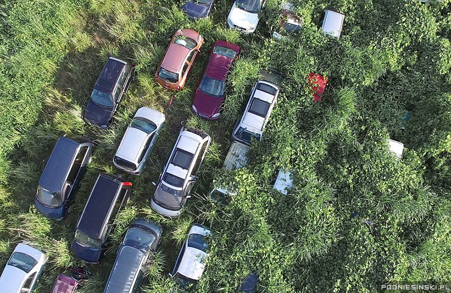 Never-Before-Seen Images Reveal How The Fukushima Exclusion Zone Was Swallowed By Nature