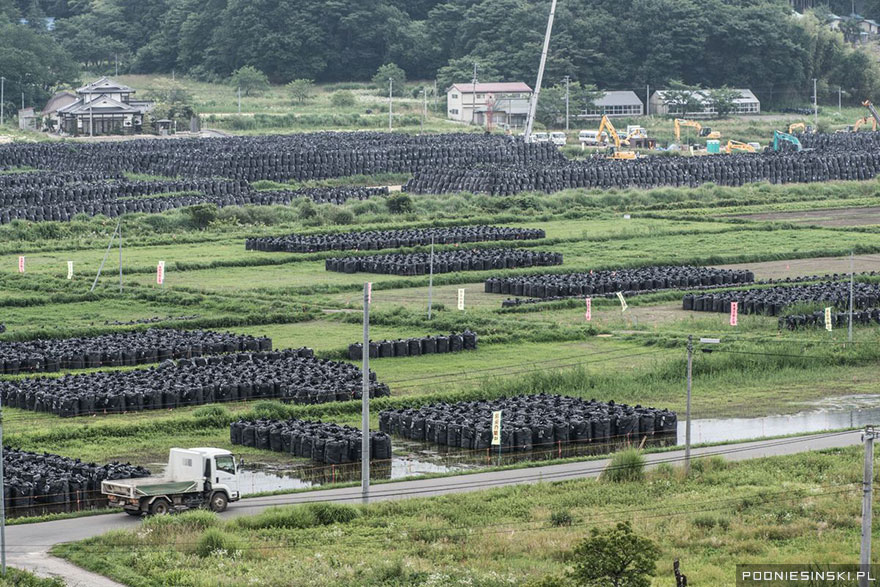 Never-Before-Seen Images Reveal How The Fukushima Exclusion Zone Was Swallowed By Nature