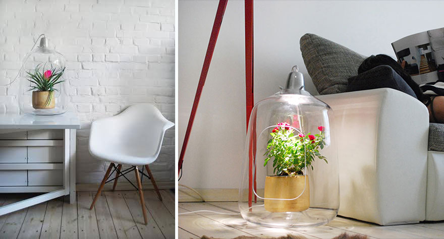 plant-greenhouse-lamp-design-milo-baby-wood-lightovo-9