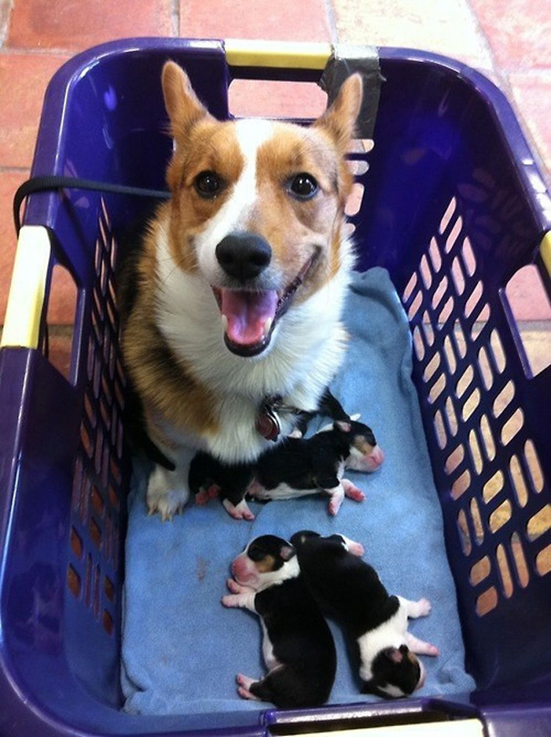A Proud New Mother