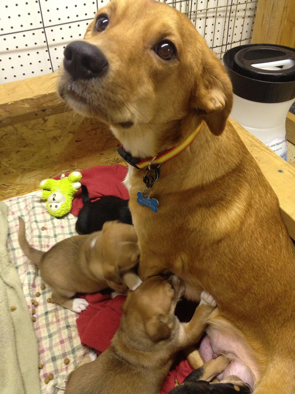 That's One Proud Mommy