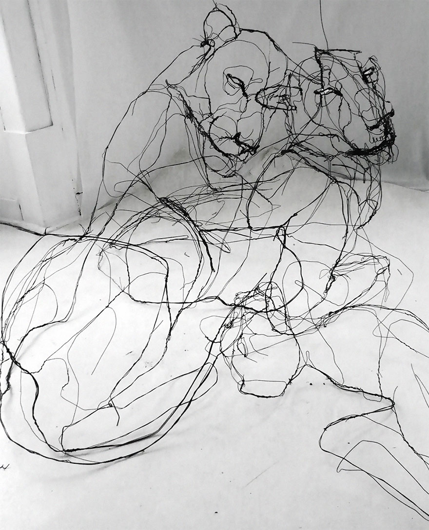 sketchbook-3d-wire-animal-sculpture-david-oliveira-16