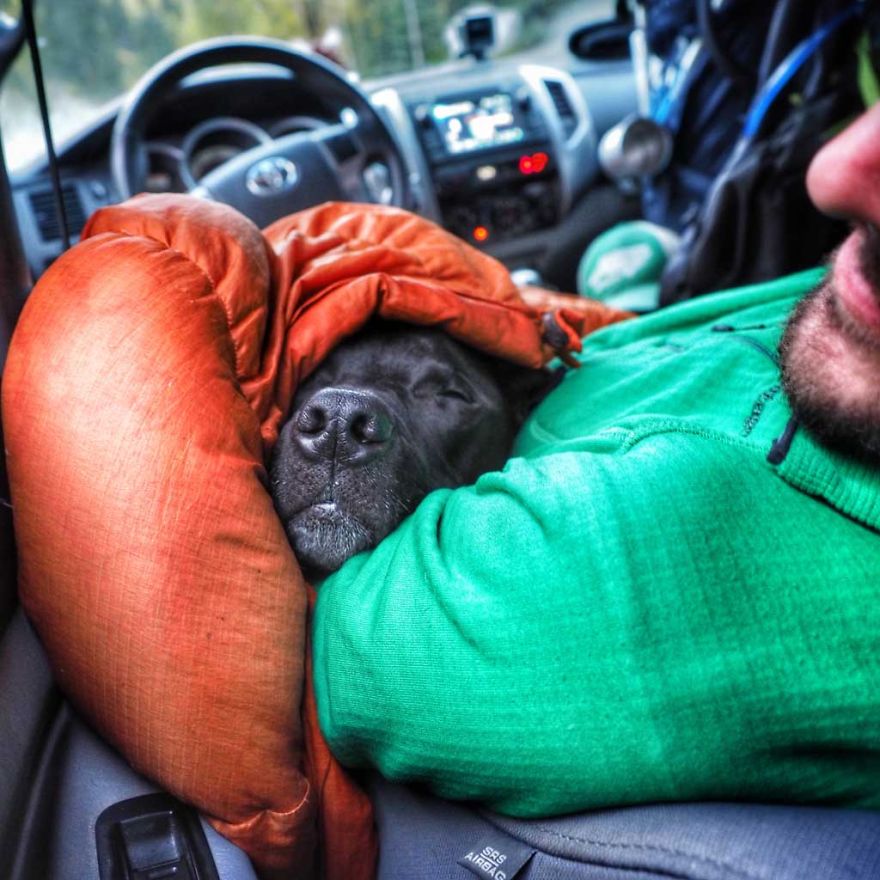 I Live In My Truck With My Dog And Travel Across The Country (Part 2)