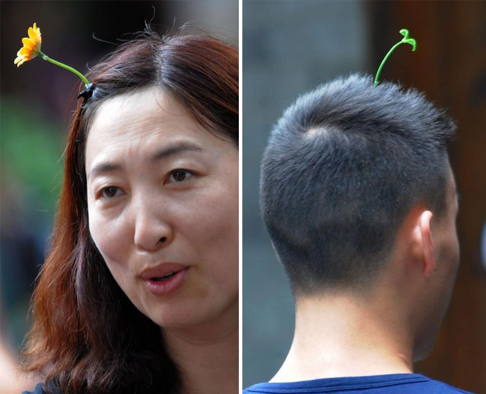 sprout hair clip china