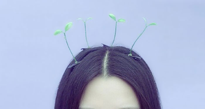 sprout hair clip china