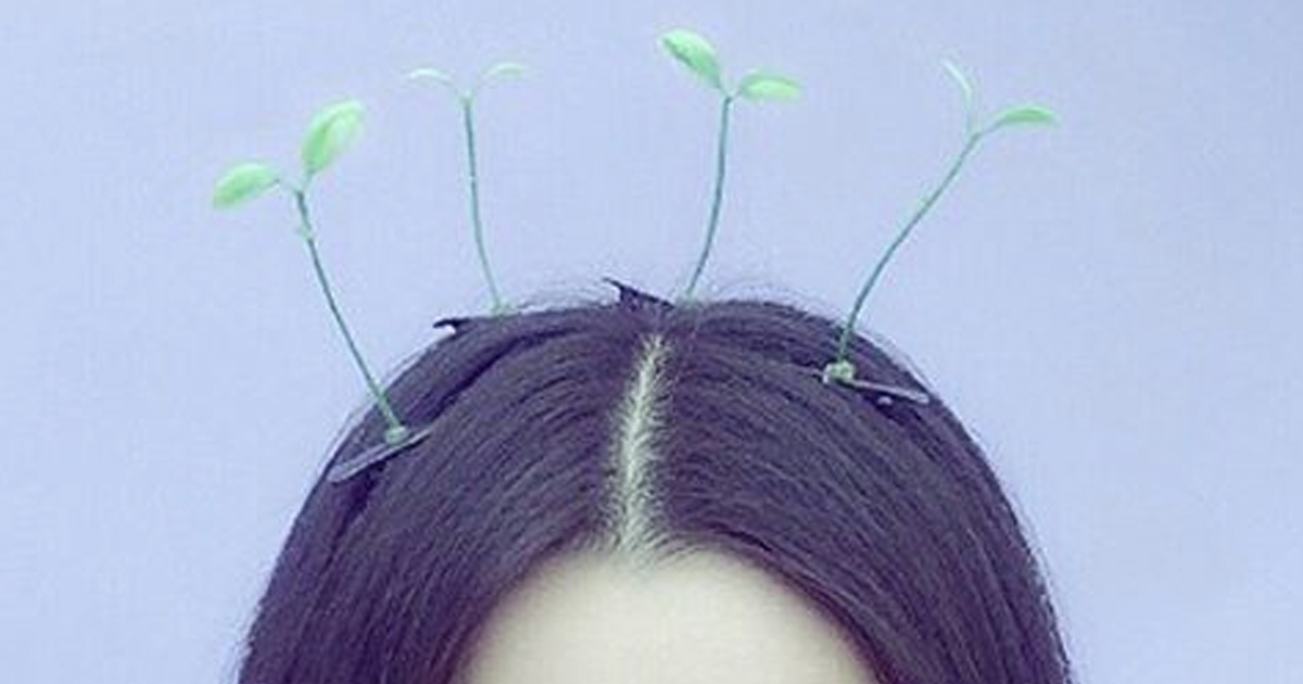 Sprout Hair Pins Are The Latest Trend In China | Bored Panda