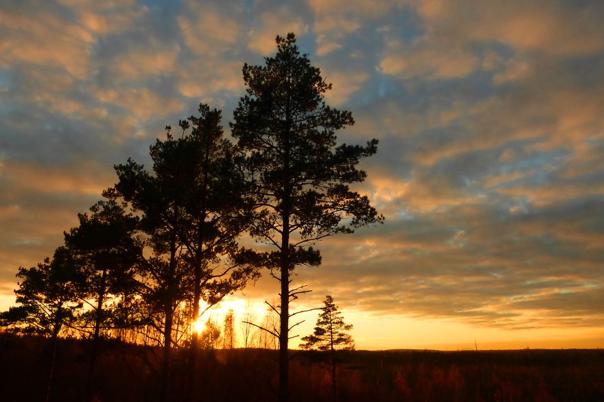 Sunset In Its Beauty...