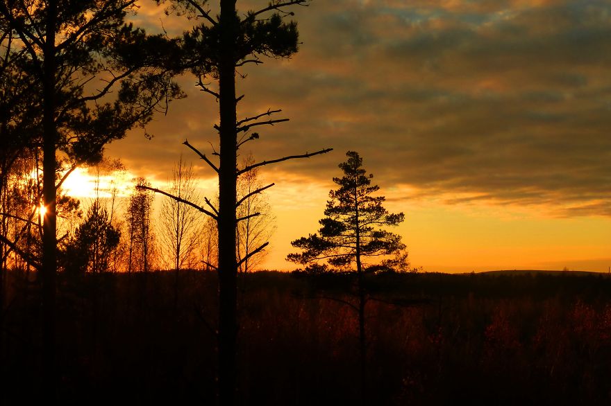 Sunset In Its Beauty...
