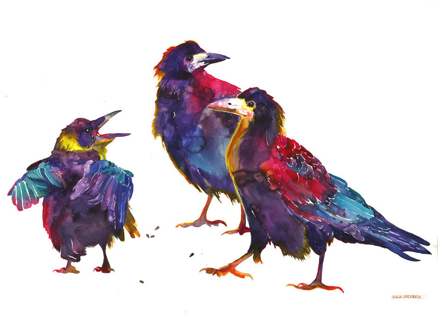 Colorful Birds Painted With Watercolors By Maja Wronska