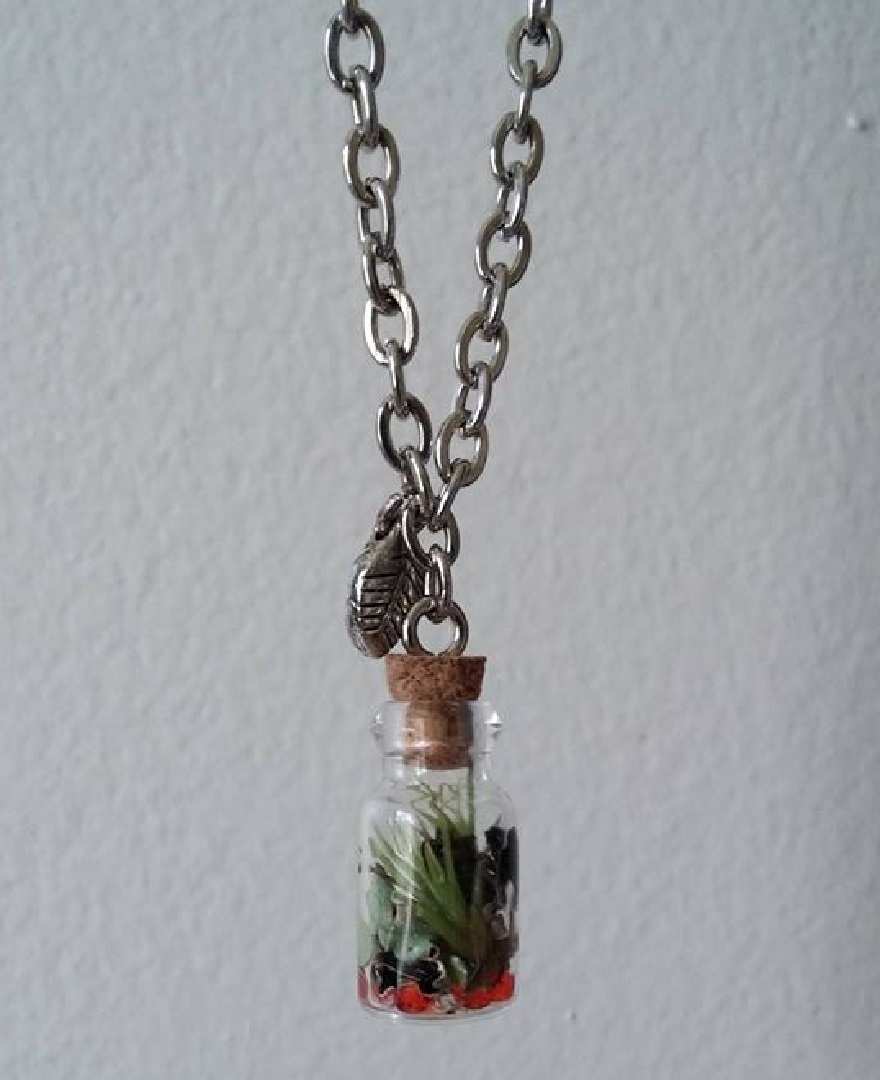 Air Plant In A Vial Neacklace