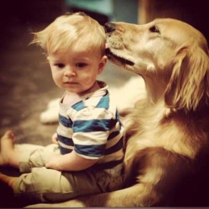 8 Reasons To Have A Pet For A Child
