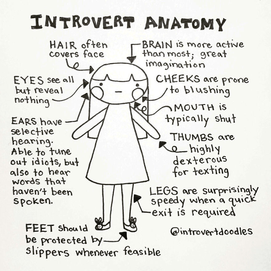Introvert Anatomy