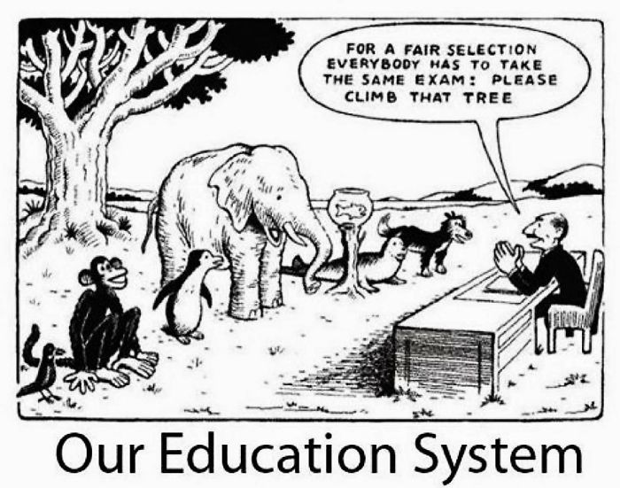 Our Education System