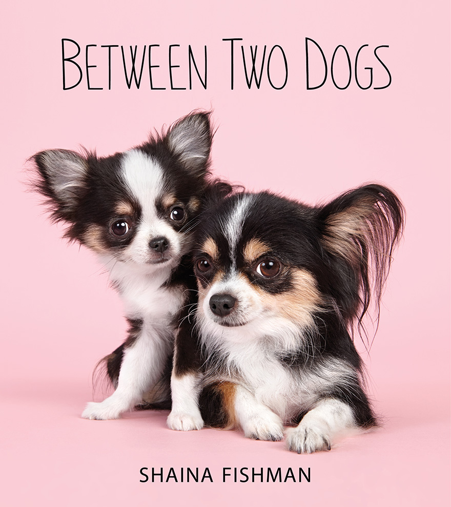 What’s Cuter Than Photographs Of Just One Dog? Photographs Of Two Dogs!