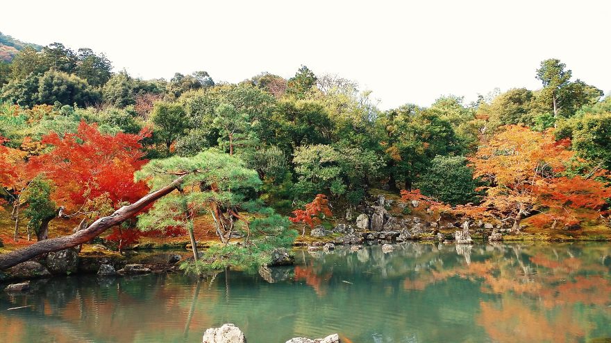 An Autumn Tale In Kyoto, Japan