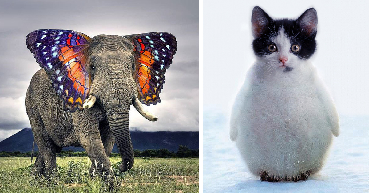 49 Strange Animal Hybrids Bred In Photoshop | Bored Panda