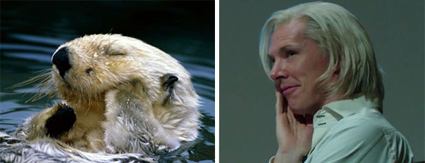 Benedict Cumberbatch Looks Like An Otter