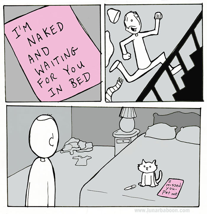 Life With Cats By Lunarbaboon (18 Comics)
