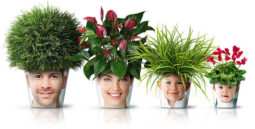 Flower Pot Heads