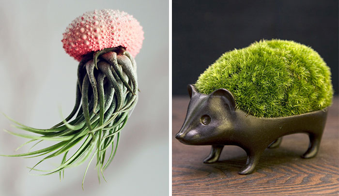 40 Of The Most Creative Planter Designs Ever